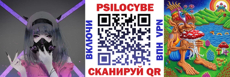 Псилоцибиновые грибы GOLDEN TEACHER  Купить закладки  Дмитриев 